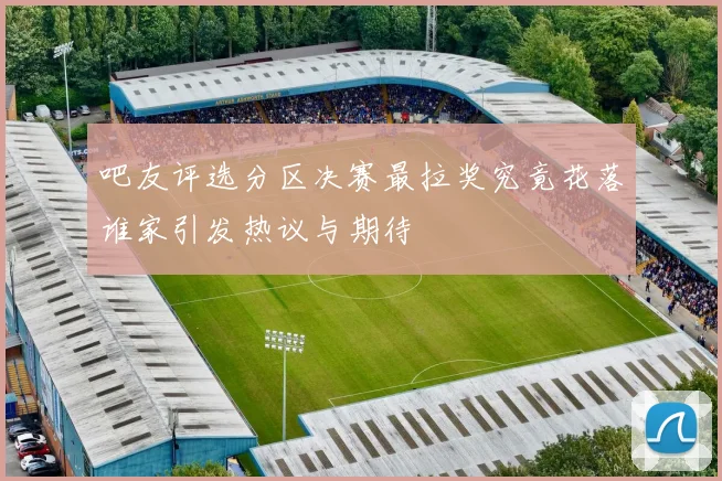 吧友评选分区决赛最拉奖究竟花落谁家引发热议与期待