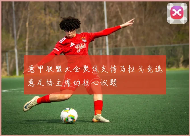 意甲联盟大会聚焦支持马拉戈竞选意足协主席的核心议题